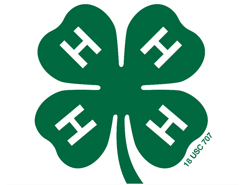 Logo for 2024 Madison County 4-H Fair