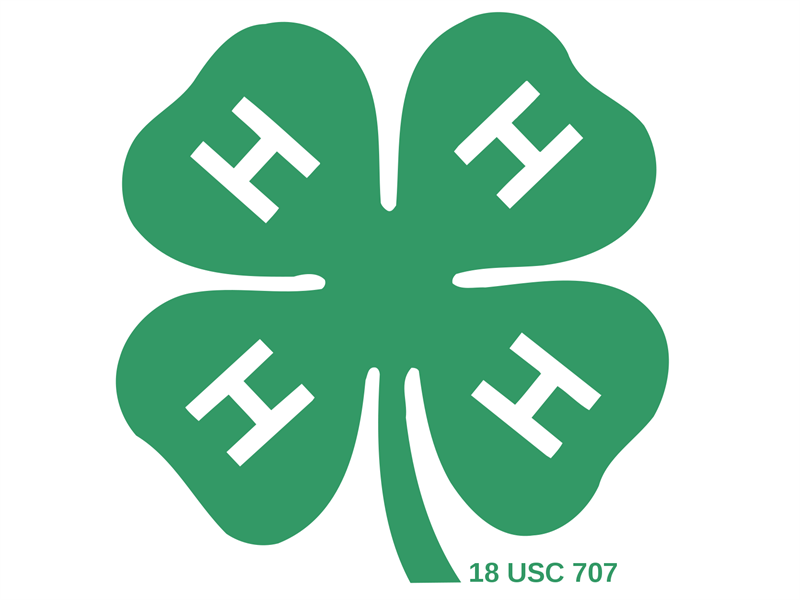 Logo for 2024 Pope-Hardin County Fair