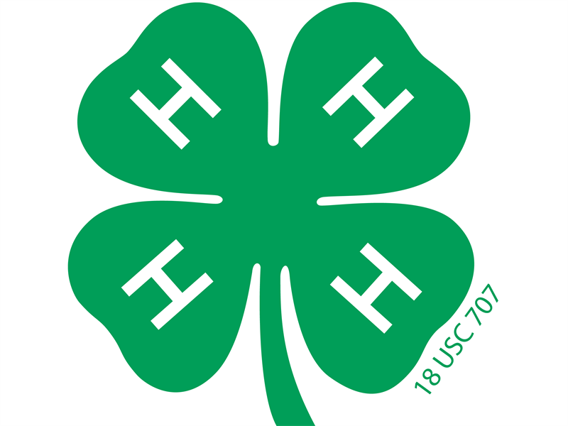 Logo for 2024 Logan County 4-H Shows