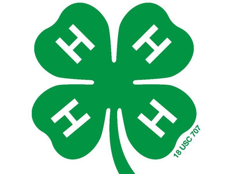 Logo for 2024 Alexander-Johnson-Massac-Pulaski-Union 4-H Fair