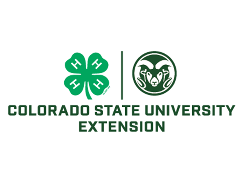 Logo for 2024 Colorado 4-H State Fair