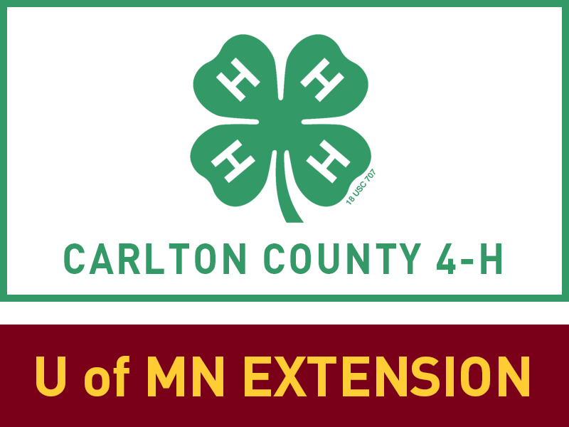Logo for 2024 Carlton County Fair