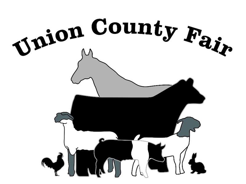 Logo for Union County Fair 2026